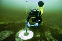 A scuba diver samples from a cylindrical sampling device settled on a benthic mat of cyanobacteria.